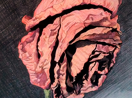 Weathered Memento Drawing